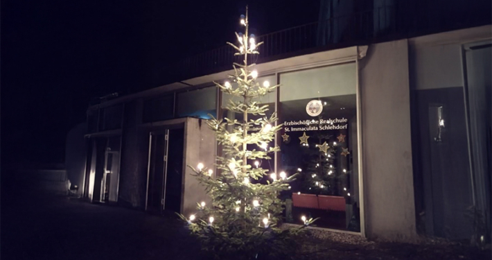Ein Christbaum für unsere Schule