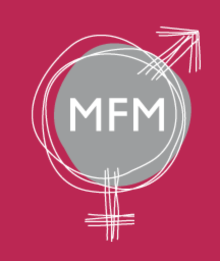 MFM Projekt 2025